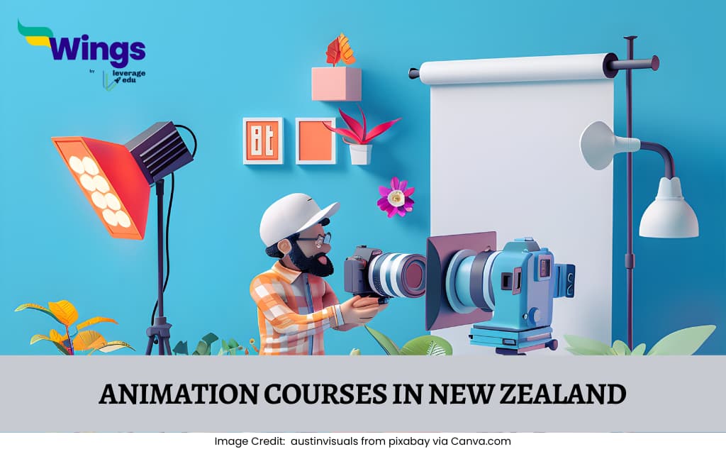 Top 5 Animation Courses in New Zealand: Benefits, Requirements and Jobs